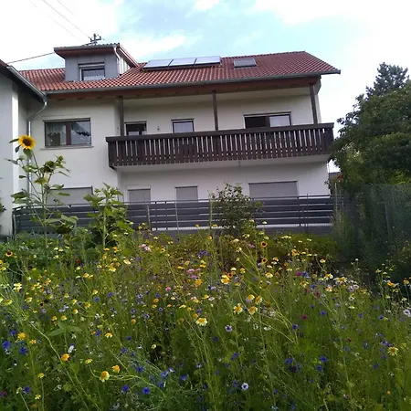 Haus Hinz Берматинген